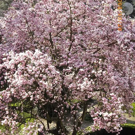 Bed and Breakfast Relais Valpiana